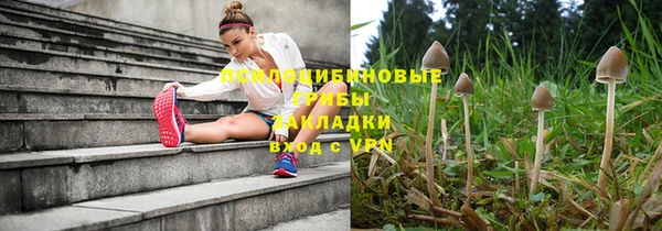 гидра Армянск