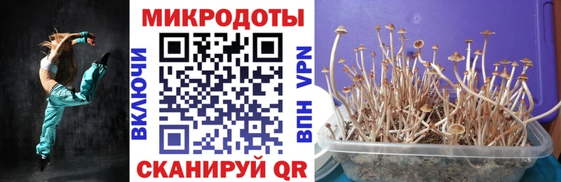 Псилоцибиновые грибы Magic Shrooms Нея