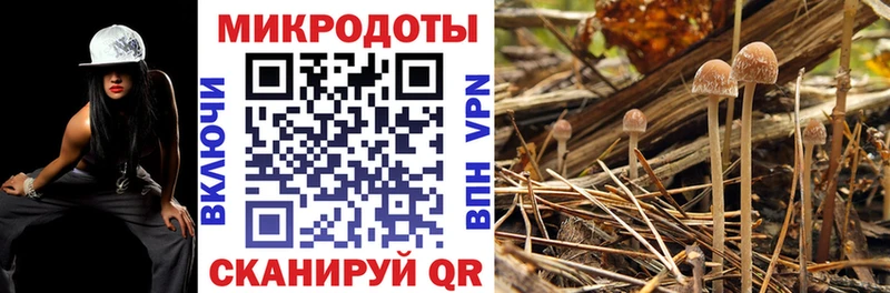Галлюциногенные грибы прущие грибы  Нея 